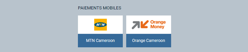 Paiements Mobiles MTN Mobile money, Orange Money 